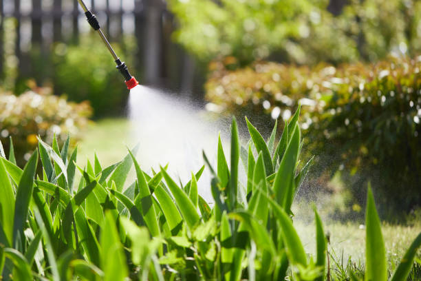 24/7 Emergency Mosquito Control experts in Mill Creek, WA